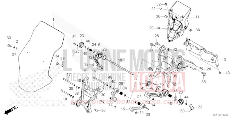 WINDSCREEN for X-ADV 750 MAT GOLDFINCH YELLOW (Y242) from 2025